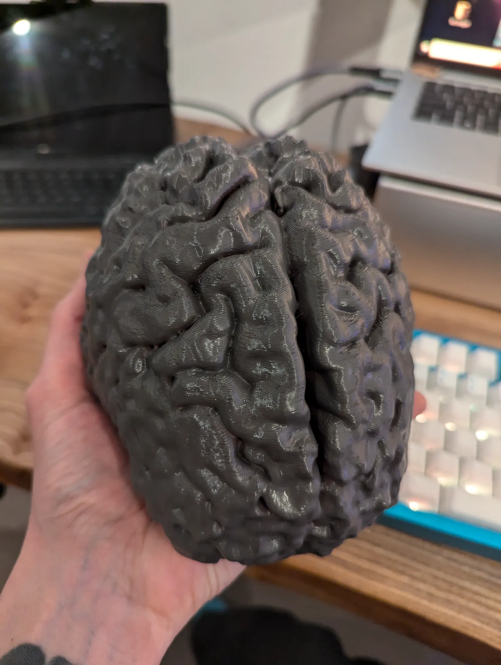 The Secrets of the Human Brain: A Captivating DIY 3D Printing Project