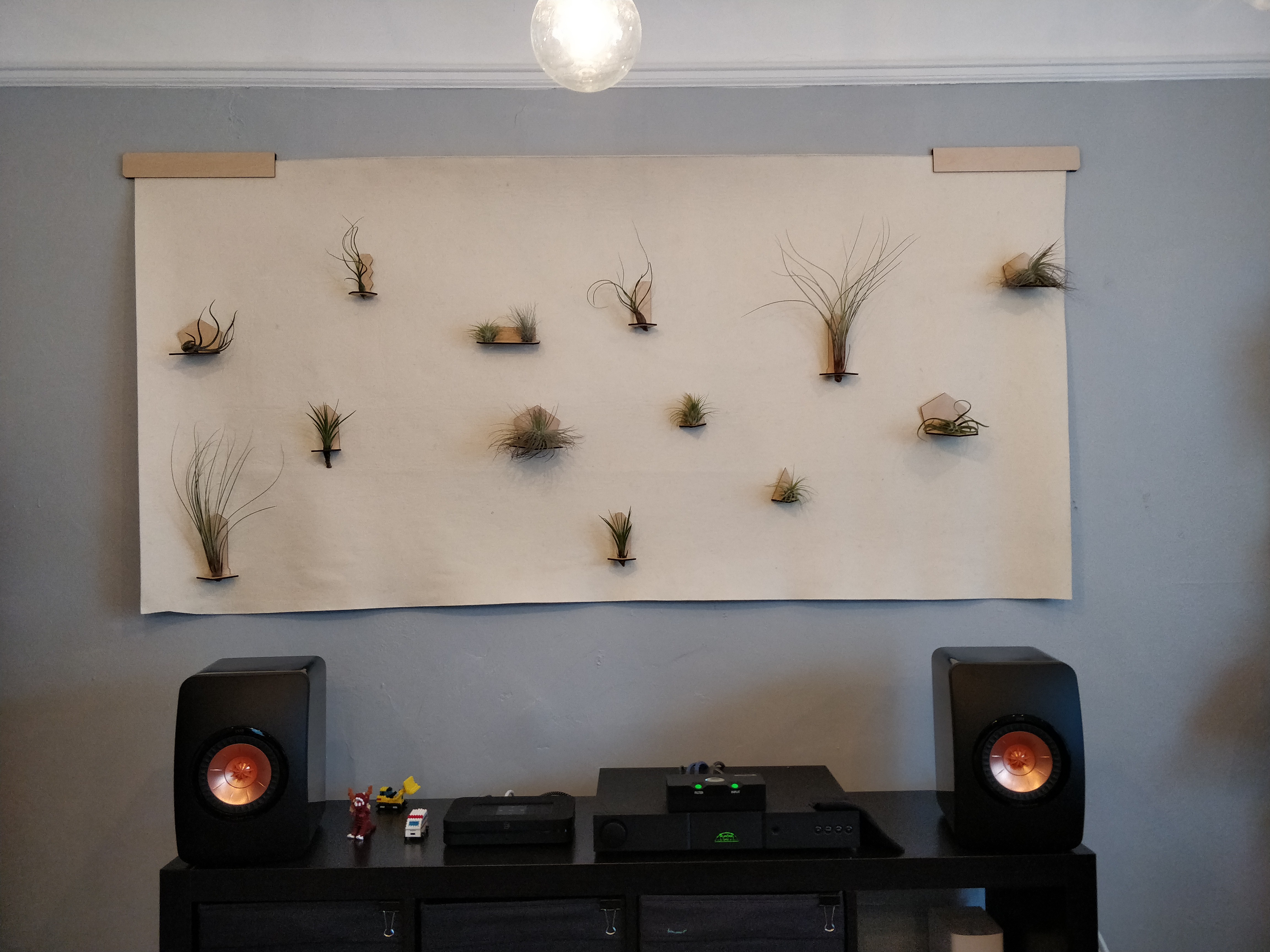 My Hanging Plant Wall Transforms Sound and Style